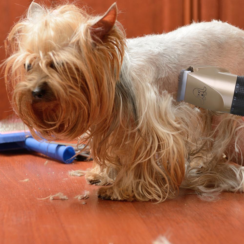 Dog Hair Trimmer- Pain-Free Pet Grooming Kit By The Guru Mall