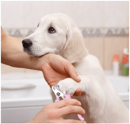 Dog Hair Trimmer- Pain-Free Pet Grooming Kit By The Guru Mall