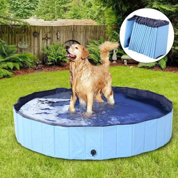 Foldable & Collapsible Pet Swimming Bath Pool The Guru Mall